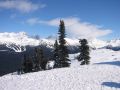 2005_02-Whistler_25